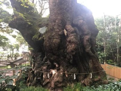 🏯 양덕사 (료토쿠지) 이미지 2